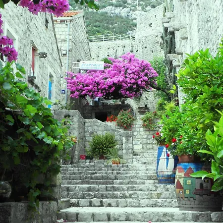 Πανσιόν House Ina Ston