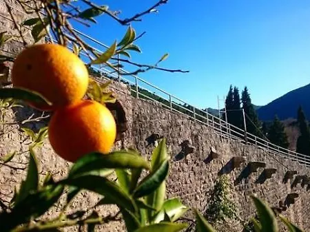 Πανσιόν House Ina 3*