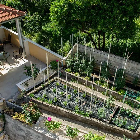 House Ina Pensión Ston
